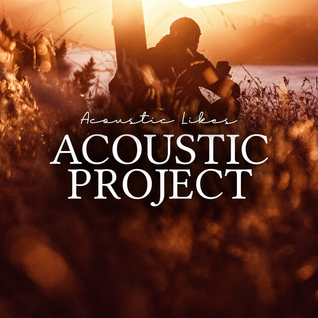 Acoustic Project