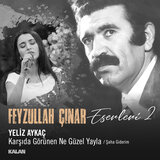 Karşıda Görünen Ne Güzel Yayla / Şaha Giderim (Feyzullah Çınar Eserleri 2)