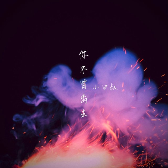你不曾离去
