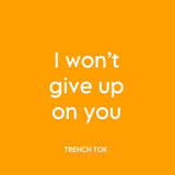 I Won’t Give up on You