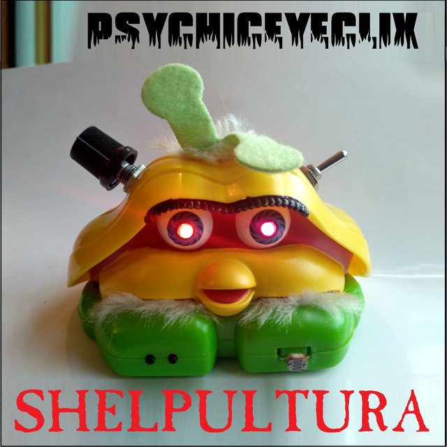 Shelpultura