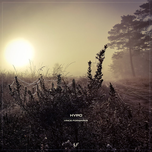 Hypo