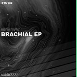 Dimension (Extended Mix)