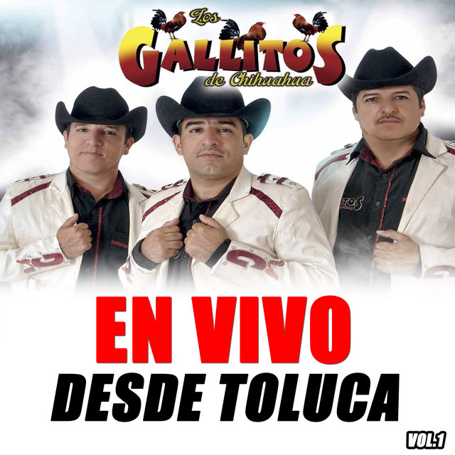 En Vivo Desde Toluca, Vol. 1