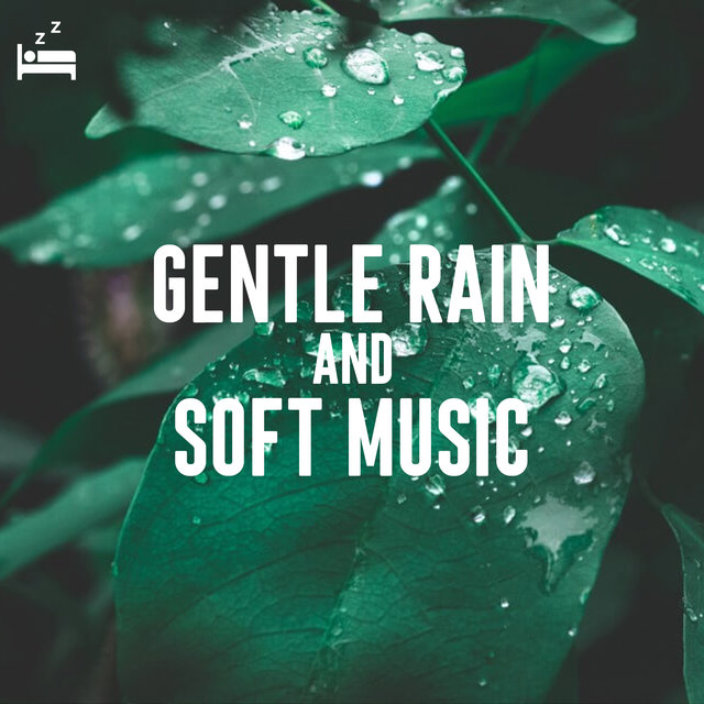 Gentle Rain and Soft Music
