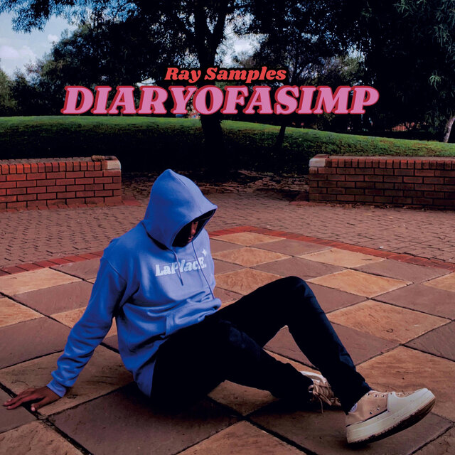 DIARY OF A SIMP