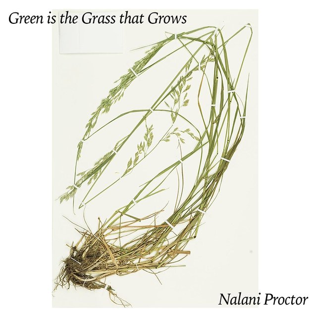 Green Is the Grass That Grows