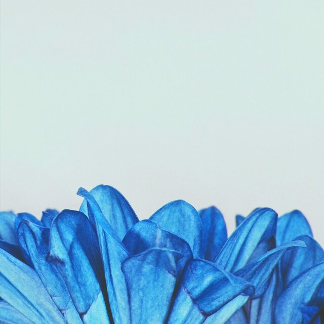 Welcome To Wonderland (Instrumental)