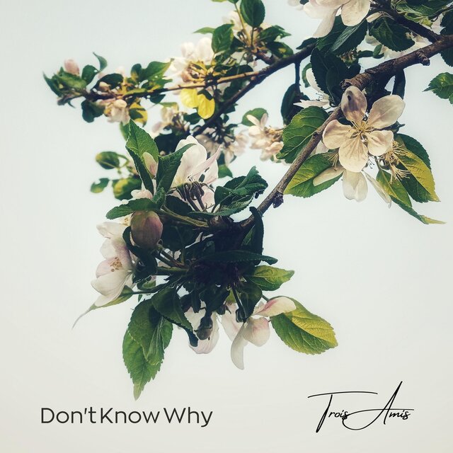 Don't Know Why