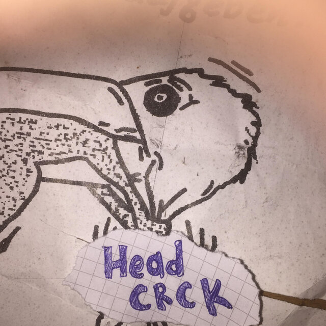 HeadCrack