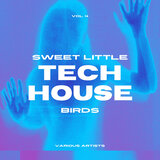 Fly Doors (Vocal Tech Mix)