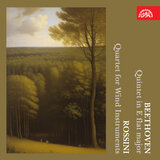 Quintet in E-Flat Major, Op. 16: III. Allegro ma non troppo