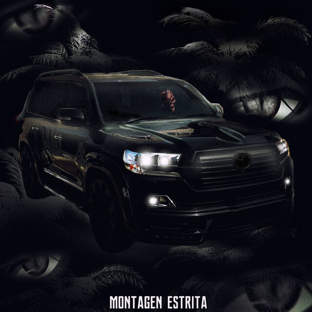 AUTOMOTIVO ESTRITA