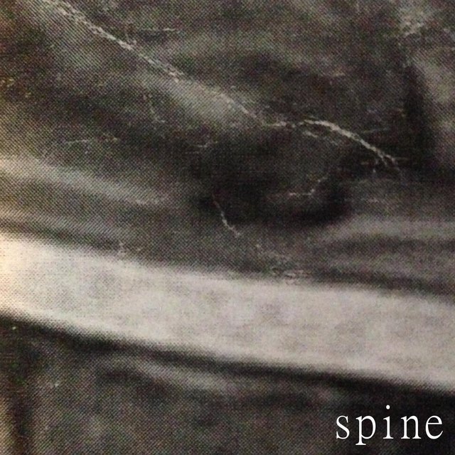 Spine