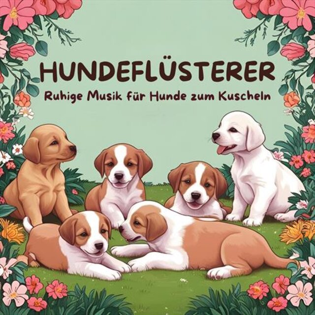 Ruhige Musik für Hunde zum Kuscheln