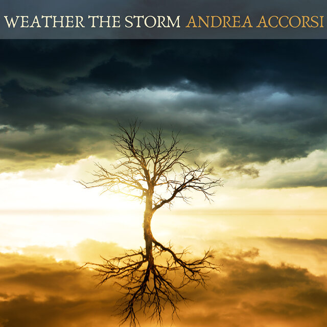 Weather the Storm