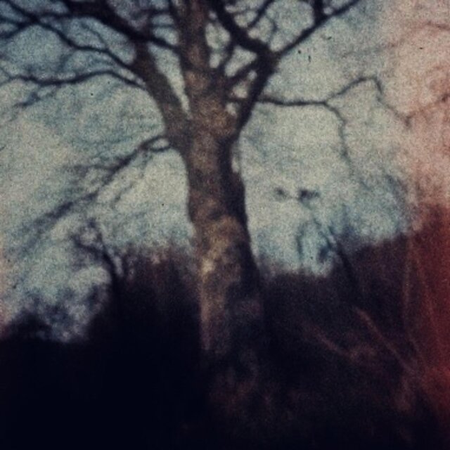 The Hollow Season