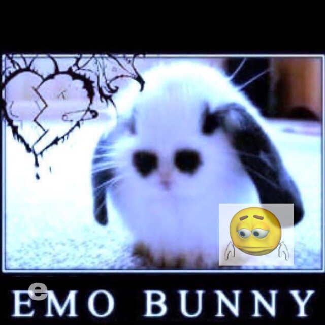 ooo^_^