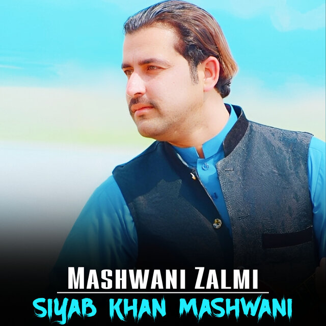 Mashwani Zalmi