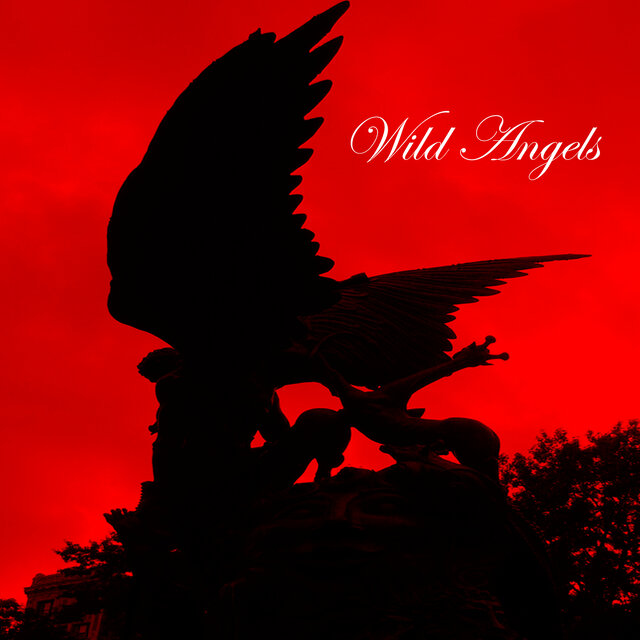 Wild Angels