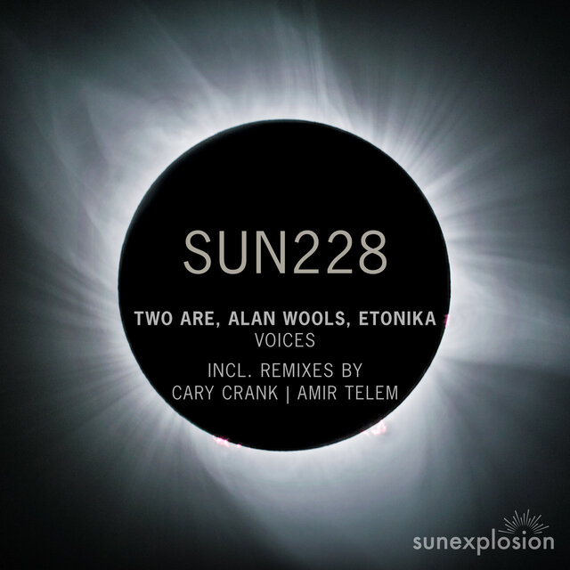 Voices (Amir Telem Remix)