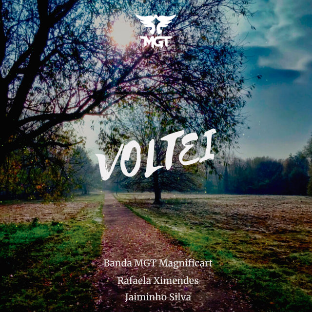 Voltei