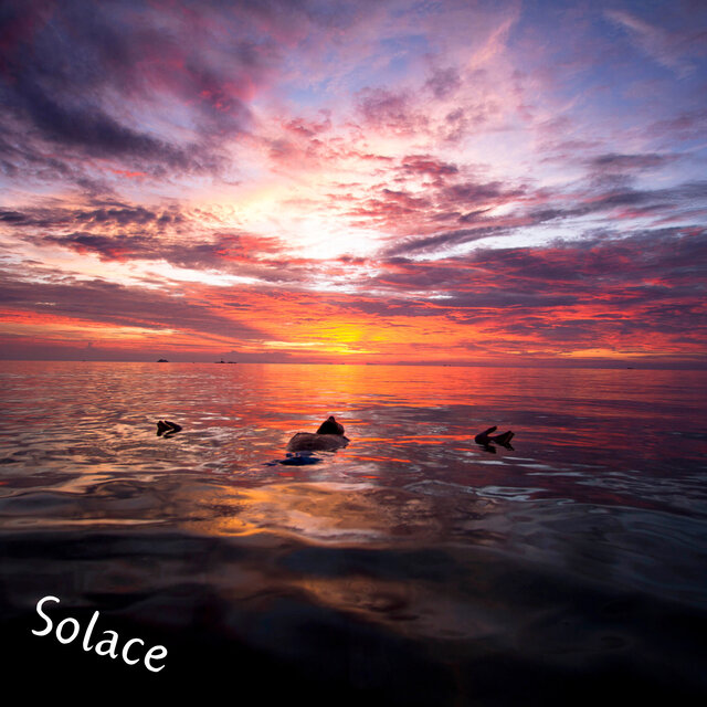 Solace