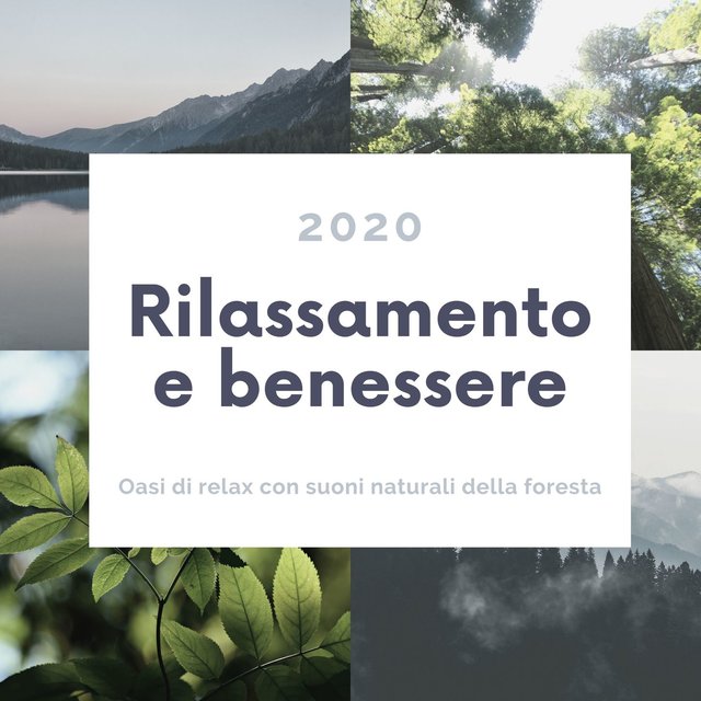 Rilassamento e benessere 2020