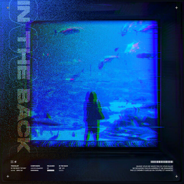 In The Back ( VIP Extended Mix)