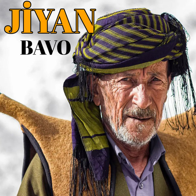 Bavo