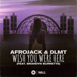 Wish You Were Here (feat. Brandyn Burnette)
