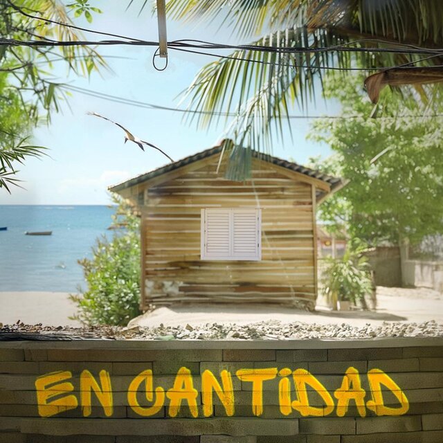 En Cantidad