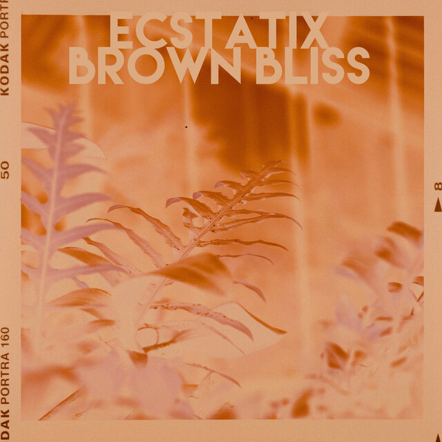 Brown Bliss