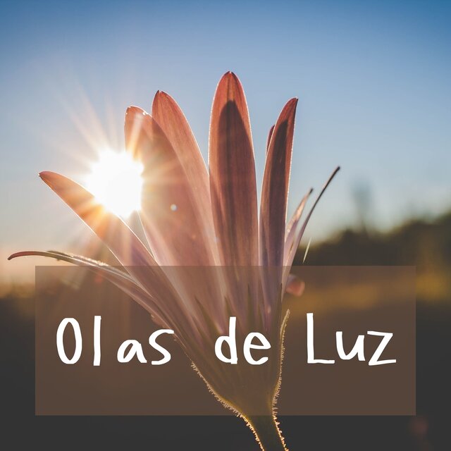 Olas de Luz: Vibraciones Positivas para tu Bienestar a través de las Notas del Universo