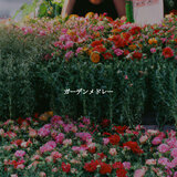 Mind-blowing Ambiance for Gentle Atmospheres