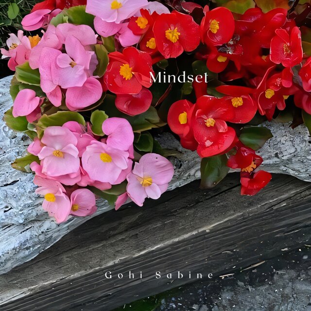 Mindset