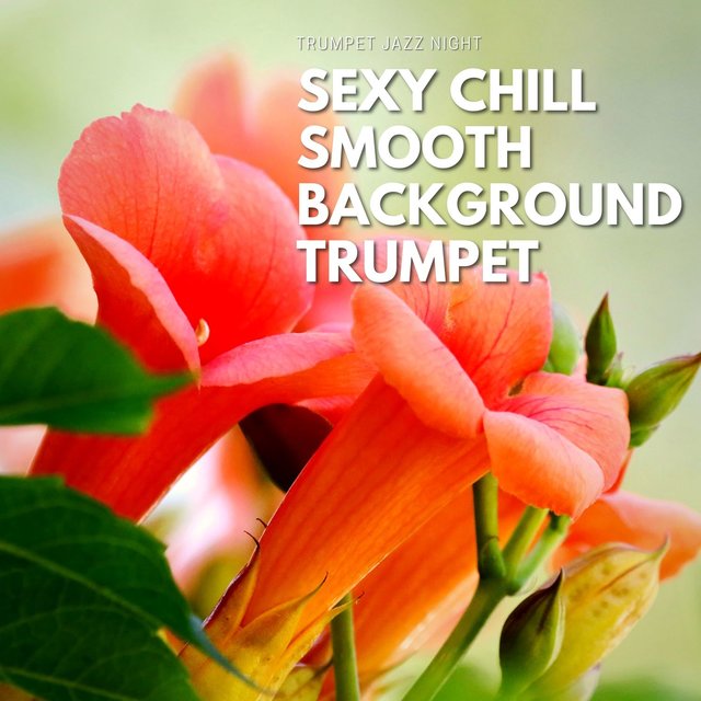 Sexy Chill Smooth Background Trumpet