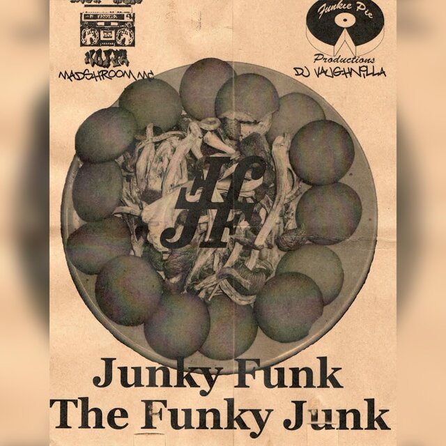Junky Funk The Funky Junk