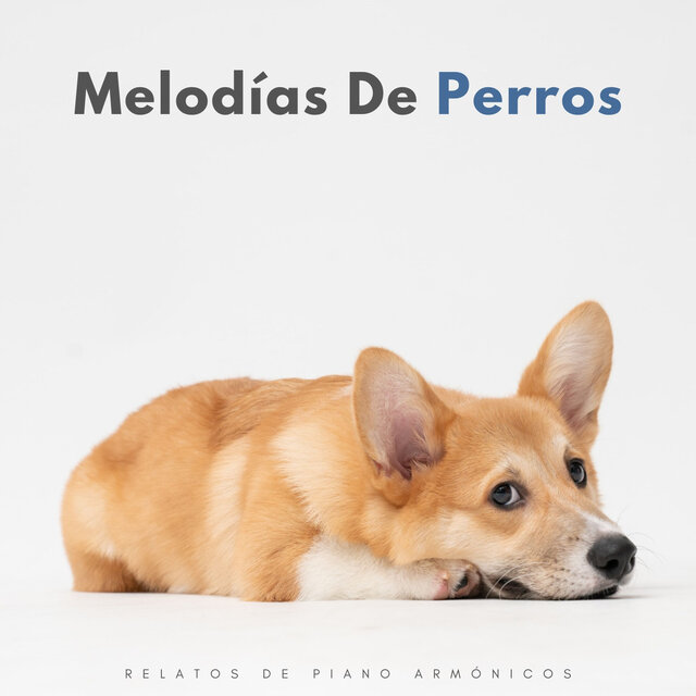 Melodías De Perros: Relatos De Piano Armónicos