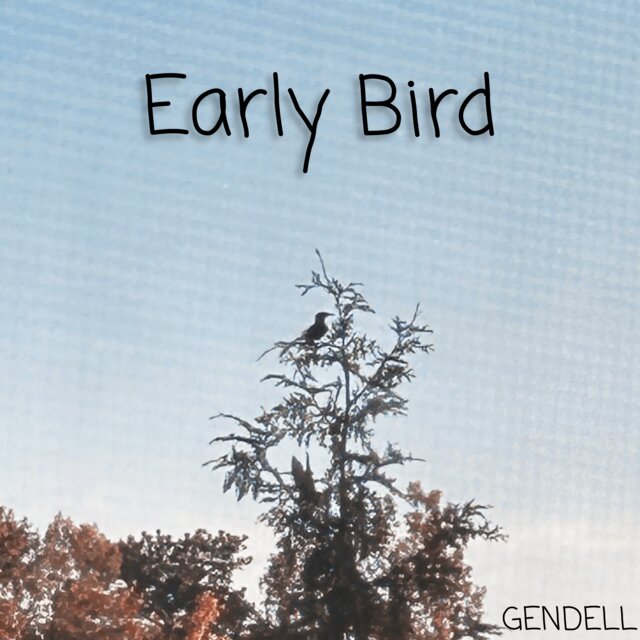 Early Bird