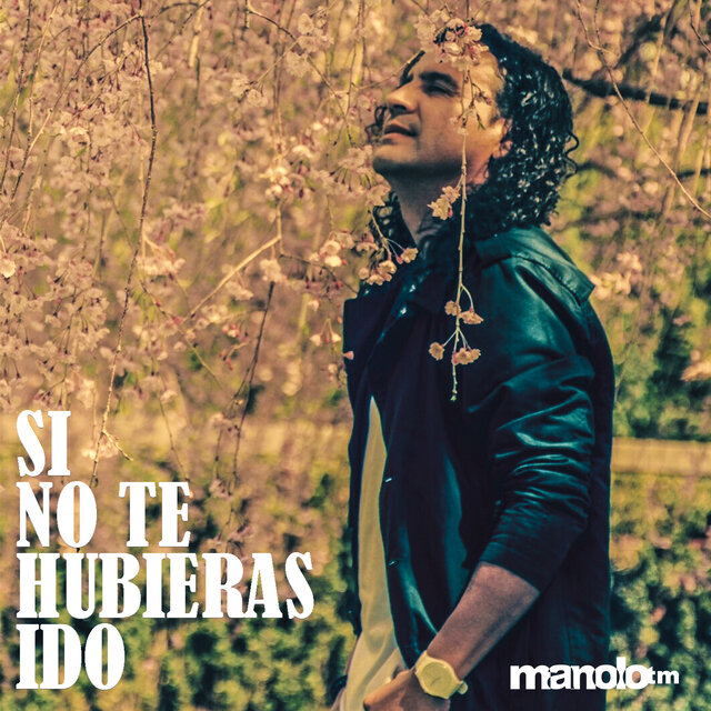 Si No Te Hubieras Ido