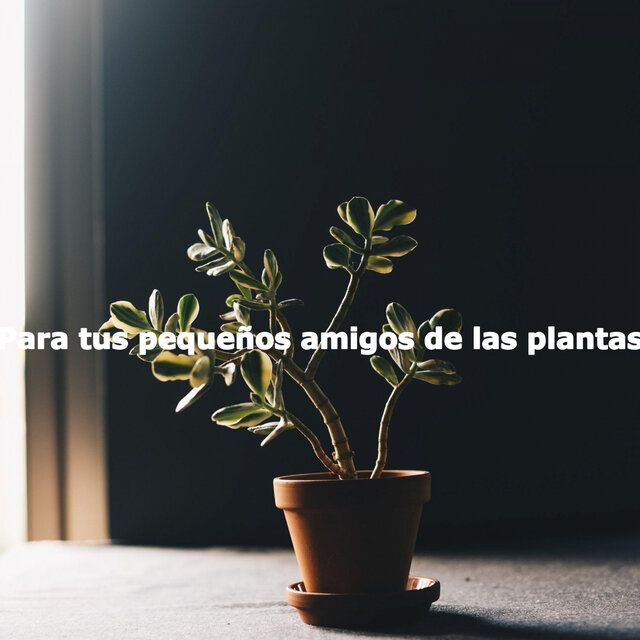 Para tus pequeños amigos de las plantas