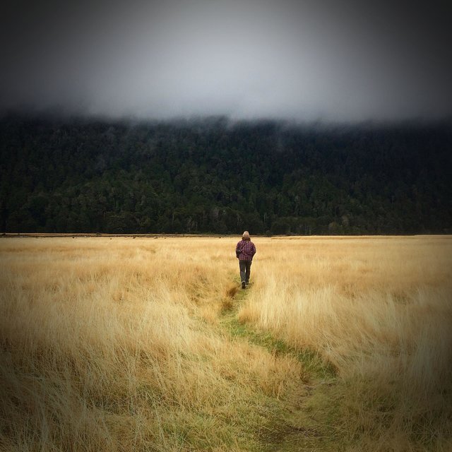 Relaxing Walk in Nature with Sound of Rain to Calm the Mind
