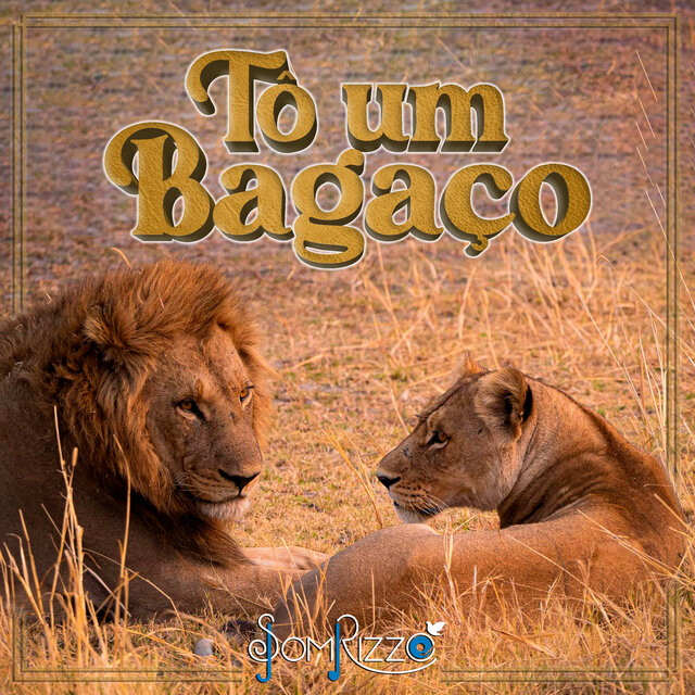Tô um Bagaço