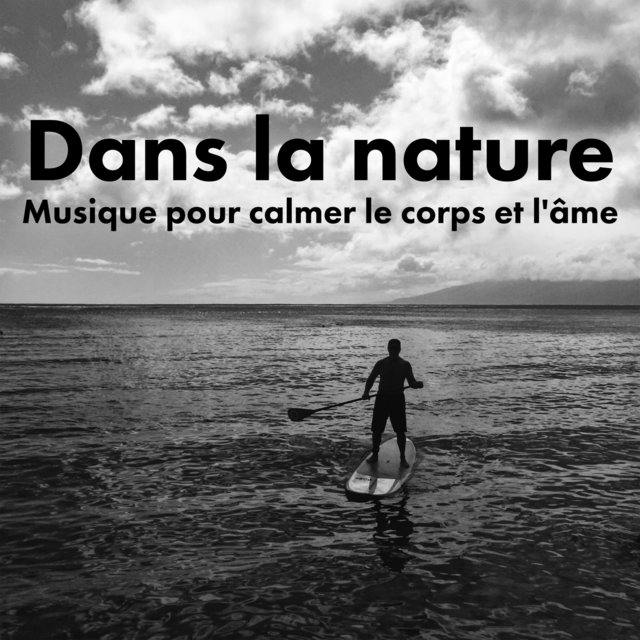 Dans la nature: Musique pour calmer le corps et l'âme