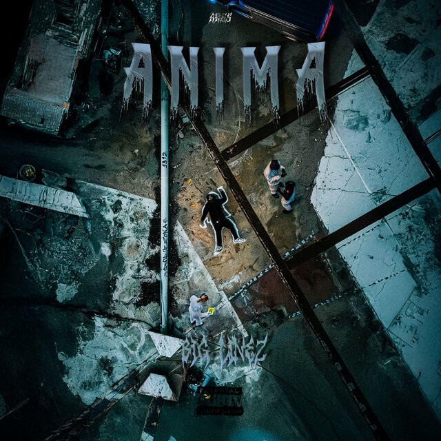 ANIMA