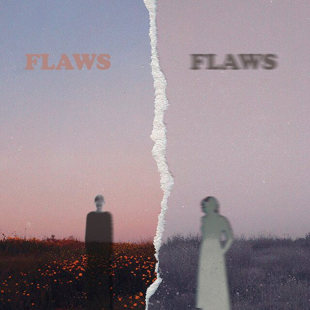 FLAWS