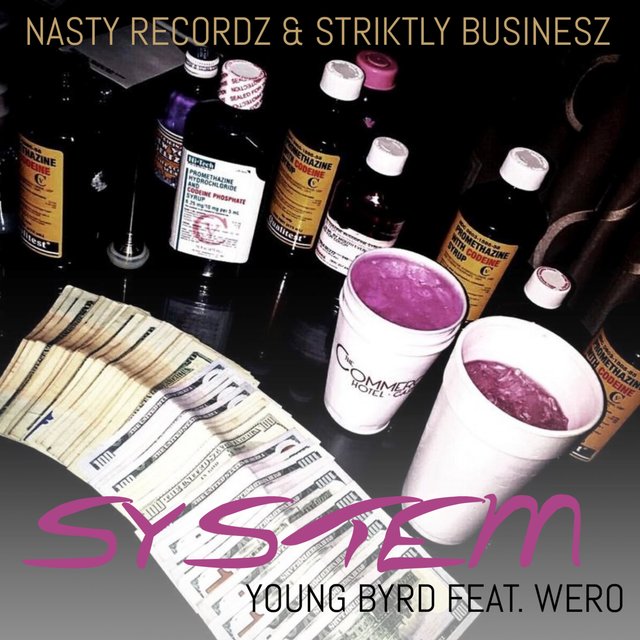 System (feat. Wero)
