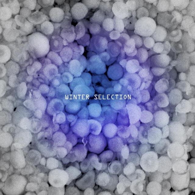 Winter Selection