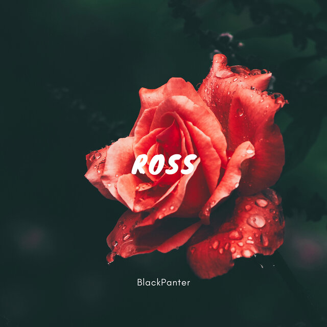 Ross